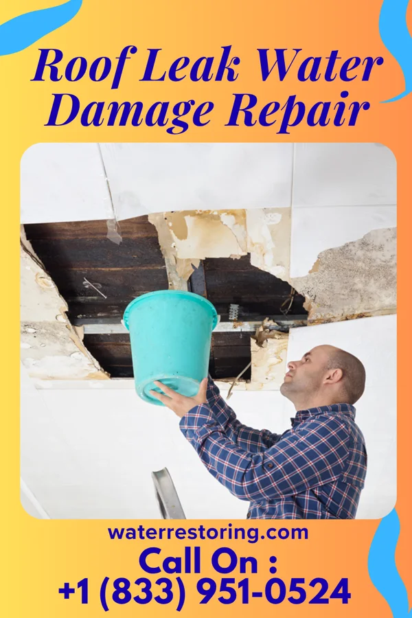 Roof Leak Water Damage Repair in Whitecone, AZ